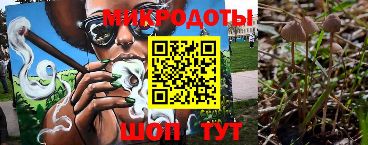Галлюциногенные грибы мухоморы  Вход с VPN  Бердск  Галлюциногенные грибы Cubensis 